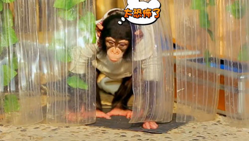 《奇妙的朋友》未播花絮:coco六毛抢吃饼